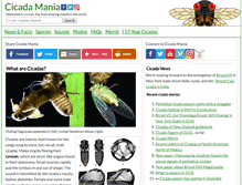Tablet Screenshot of cicadamania.com